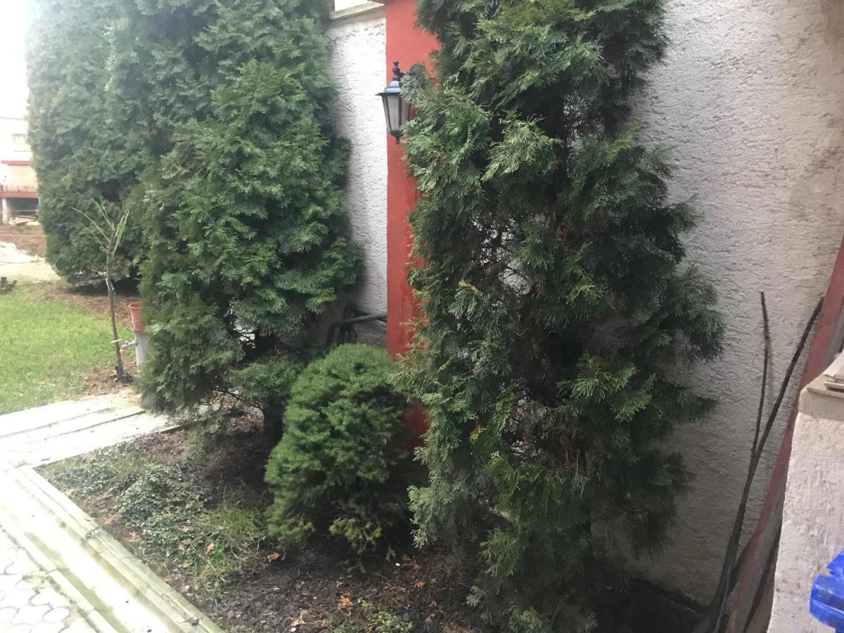 Apartman Jeruzalemska 特尔纳瓦 外观 照片
